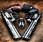 Custom Firearms